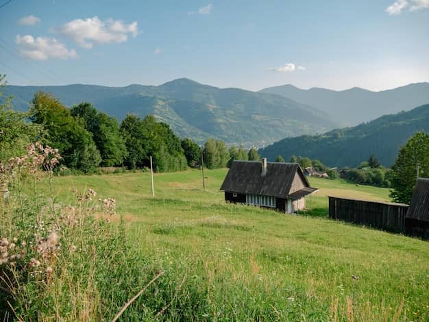 Карпатські гори